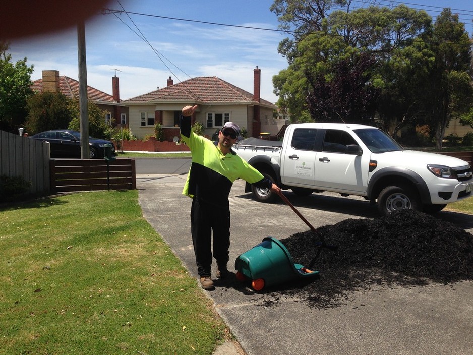 Bayside Gardening Pic 1 - Bayside Gardening saying good day to you all