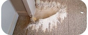 Carpet Repair Richmond Pic 5