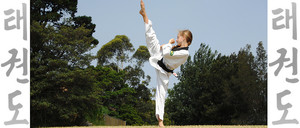 Pinnacle Taekwondo Martial Arts in Chester Hill for kids teens and adults Pic 4