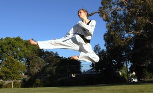 Pinnacle Taekwondo Martial Arts in Chester Hill for kids teens and adults Pic 2