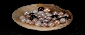 Akuna Pearls Pic 2