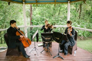 The Gold Coast String Quartet Pic 4 - The ensemble can also play as a trio This photo was taken at Fellenis in Mudgeeraba