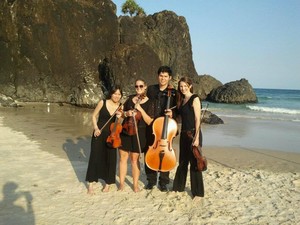 The Gold Coast String Quartet Pic 2 - This photo was taken at Elephant rock after a beach wedding