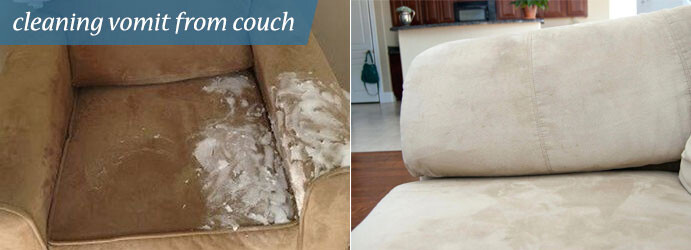 Upholstery Cleaning Adelaide Pic 1