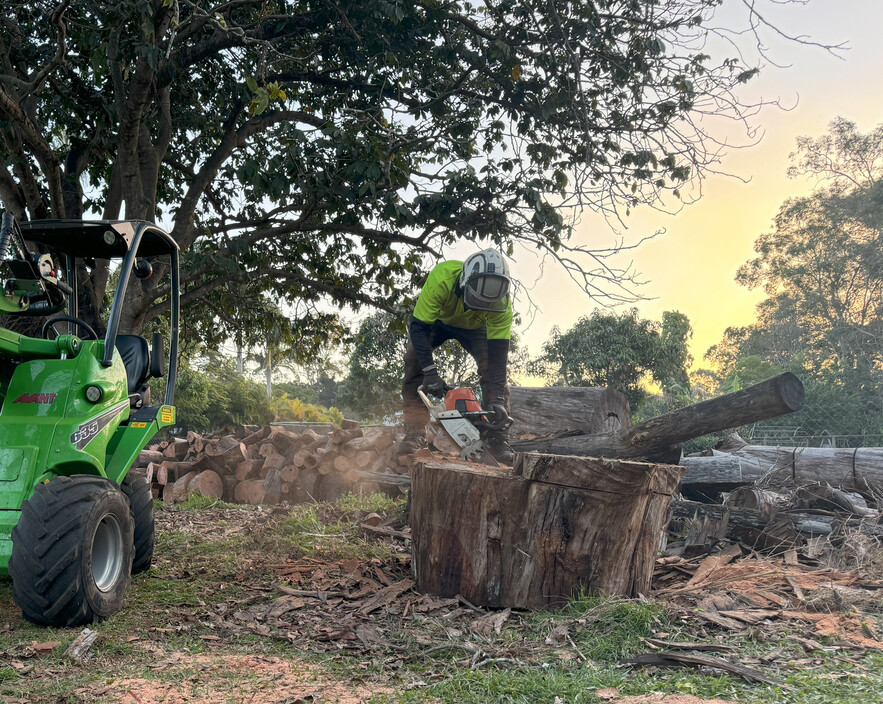 JCL Tree Services Pic 1 - Tree Removal Service in Logan QLD