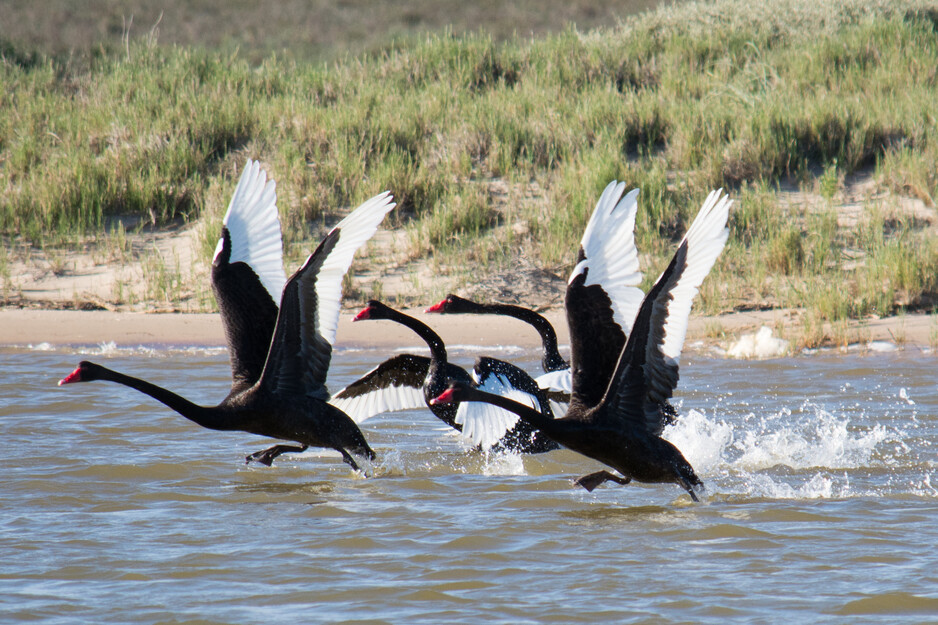 Kalbarri Wilderness Cruises Pic 1