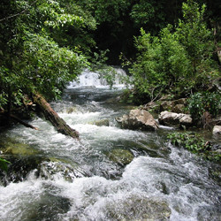 Stone Stream Eco Cottage Self Contained B&B Pic 2 - The creek