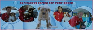 Aussie Pooch Mobile Dog Wash Buderim Pic 5