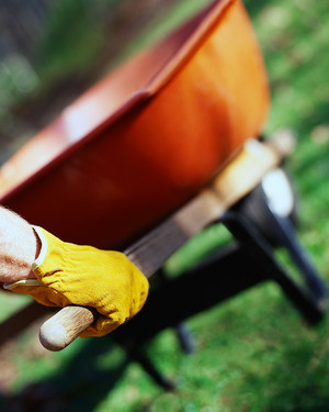 Dan's Property Maintenance Pic 3 - Garden Maintenance