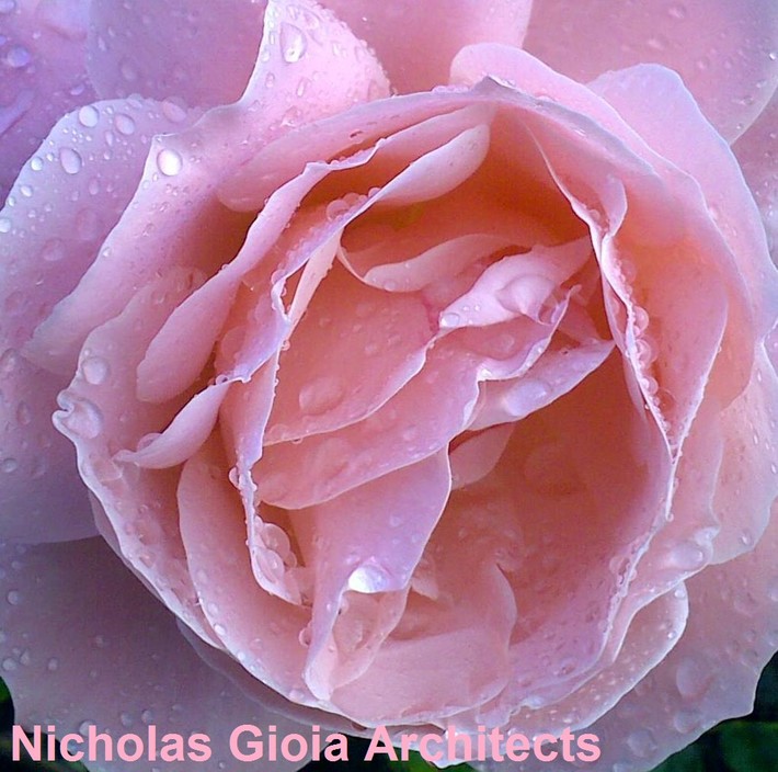 Nicholas Gioia Associates (Architects) Pic 1