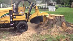 DOWN UNDER STUMP GRINDING Pic 1 - Let Down Under Stump Grinding grind your stump to sawdust in seconds