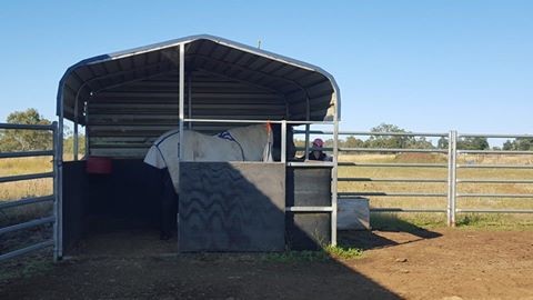 Central Victoria Transportable Sheds Pic 1