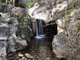 Weldborough Camping Ground Pic 1 - Weldborough Camping Ground Nearby Mt Paris Waterfall