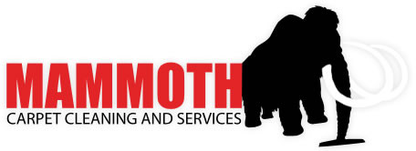 Mammoth Carpet Cleaning Perth Pic 1 - Mammoth Carpet Cleaning Perth