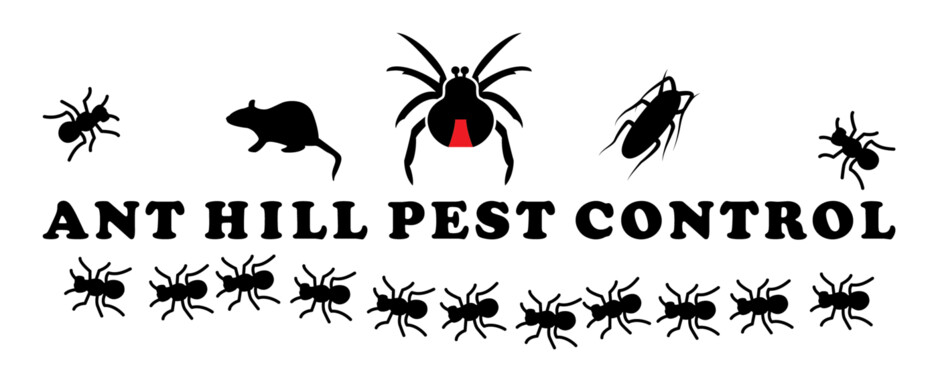 ant hill pest control Pic 1