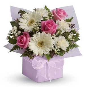 Blue Mountains Blossoms Florist Pic 3 - Sweet Thoughts roses and gerberas