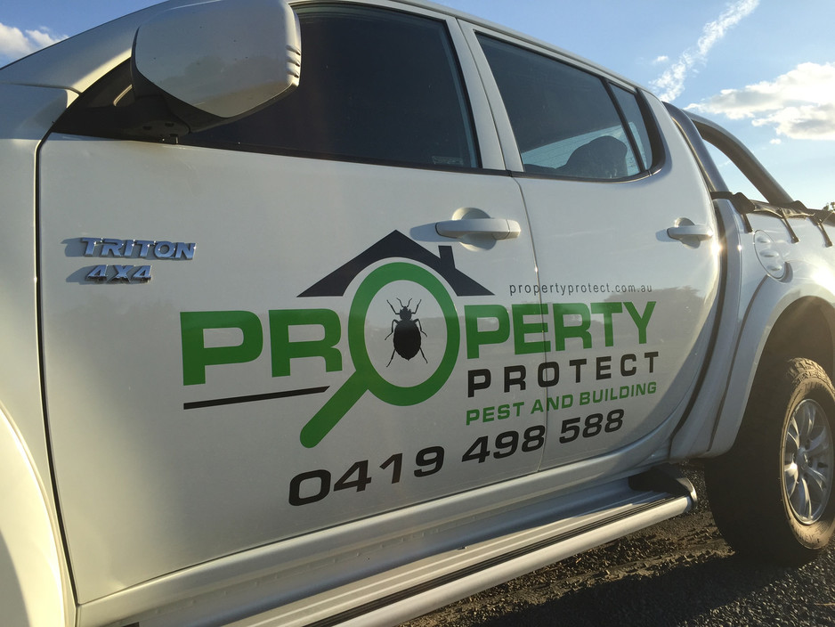 Property Protect Pest and Building Pic 2