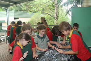 WONDERFUL WORM WASTE Pic 3 - Children get up close handle worms