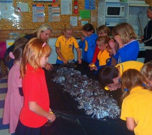 WONDERFUL WORM WASTE Pic 5 - We always have so much fun over the holidays