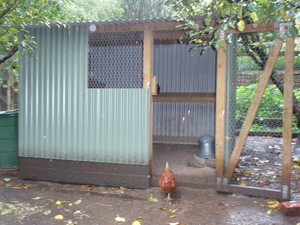 I B Maintenance Service Pic 5 - Chook House