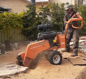 Aaron's Tree Lopping Pic 5 - Aarons Tree Lopping Perth Tree Lopper Stump Grinding wwwaaronstreeloppingcomau