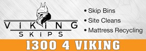 Viking Skips Pic 2