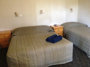 Oasis Motel Peak Hill Pic 4 - Twin room