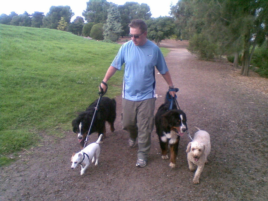 Dog Walkers Melbourne Pic 1 - On lead walks