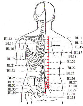 The Allergy Naturopath Pic 3