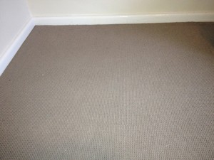 carpet repair specialist Pic 3