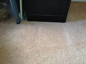 carpet repair specialist Pic 5