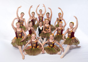 The Dance Academy Pic 4