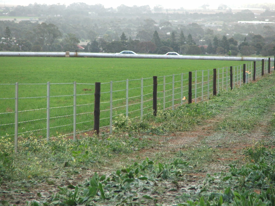 Town & Country Maintenance & Fencing Pic 1 - creosote posts with metal droppers plain wires top wire can be barbed