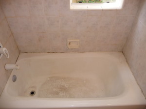 Simply Bliss Cleaning Services Pic 2