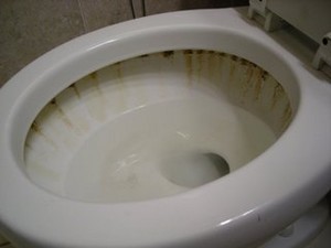 Simply Bliss Cleaning Services Pic 4 - toilets b4