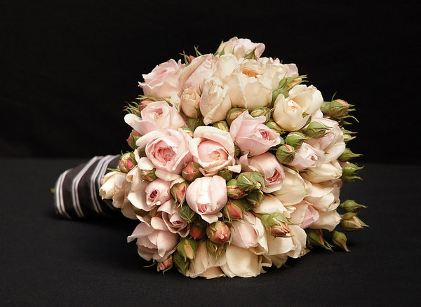 Prickly Pear Flowers Pic 1 - garden roses