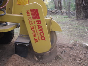 Adelaide Stump Grinders Pic 3 - Grinding of the stump