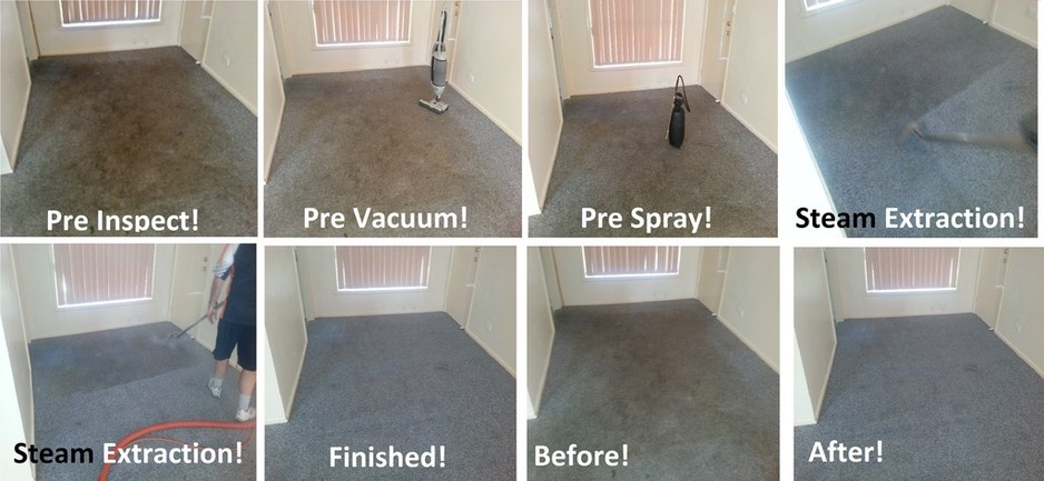 McArdles Carpet Cleaning Services Pic 1 - McArdles Carpet Cleaning Services Our Central Coast team service Gosford Bateau Bay Terrigal Avoca Beach Erina Woy Woy The Entrance Tumbi Umbi httpwwwmcardlescoma