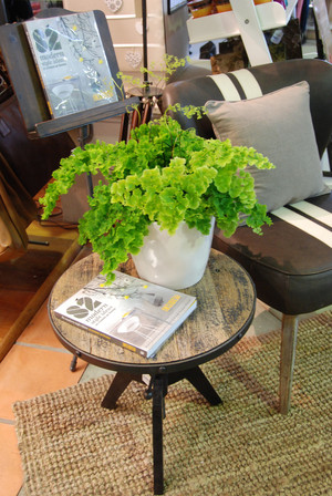 Gardenway Home & Garden Pic 5 - Gardenway has everything to make your indoor areas look amazing From quality plants and pots to vintage leather furniture and timber tables