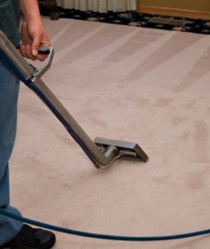 Automax carpet cleaner Pic 2