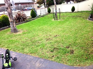 Bayz Mowing Services Pic 5