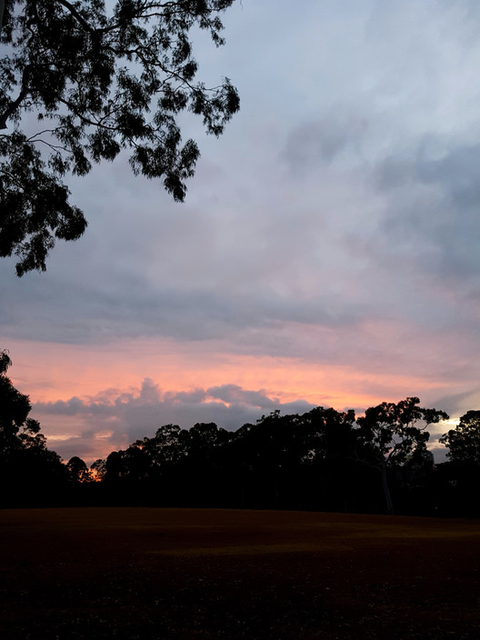 Parramatta Park Pic 1