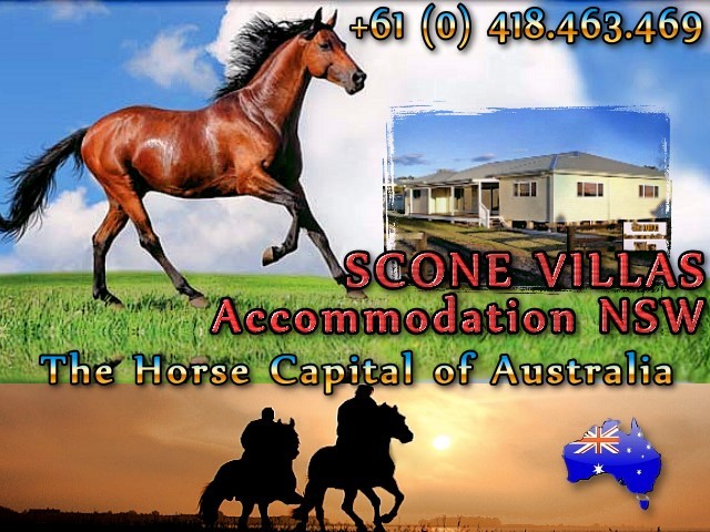 Scone Accommodation Villas Pic 1 - Scone Accommodation Villas NSW