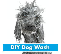 Petstock store dog wash