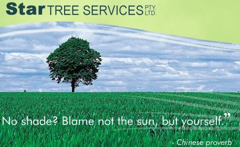 Star Tree Services Pic 1 - Star Tree Services