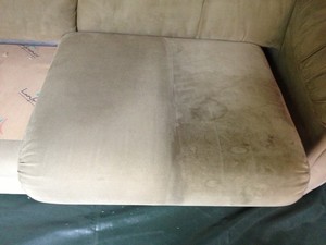 The Rug Man Pic 4 - Upholstery Cleaning