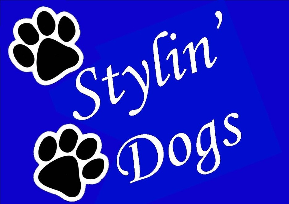 Stylin' Dogs Pic 1