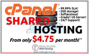 Realscape Web Hosting Pic 2 - Crazy SSL Prices From only 1095