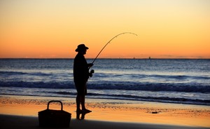 Hibiscus Holiday Park Pic 3 - Caloundra Waterfront Holiday Park