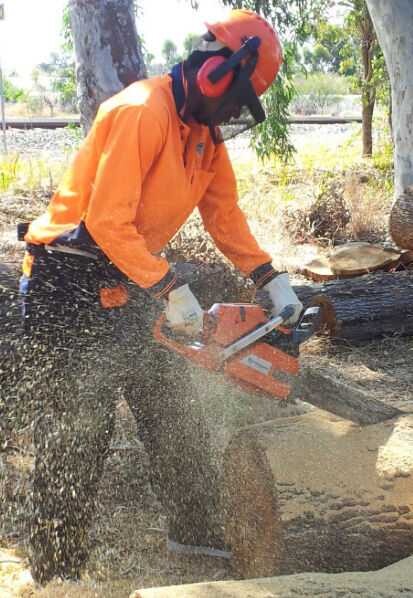 A Plus Training Solutions Pic 1 - Chainsaw Training Course Experts